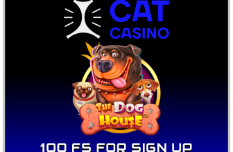 Cat casino promo code